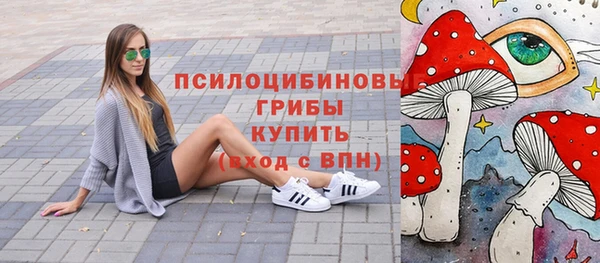 дживик Алексеевка