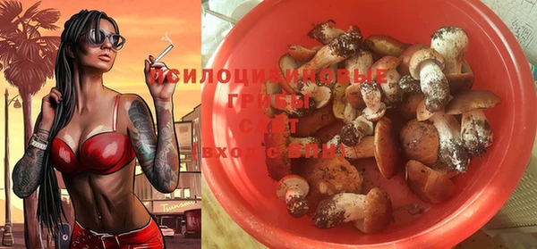 дживик Алексеевка