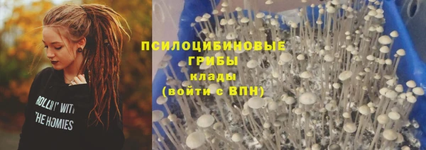 дмт Алексин
