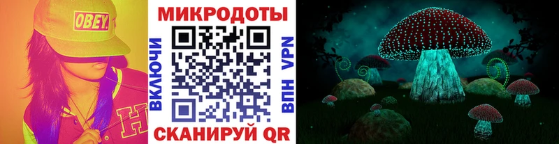 Псилоцибиновые грибы Cubensis  Новоаннинский 